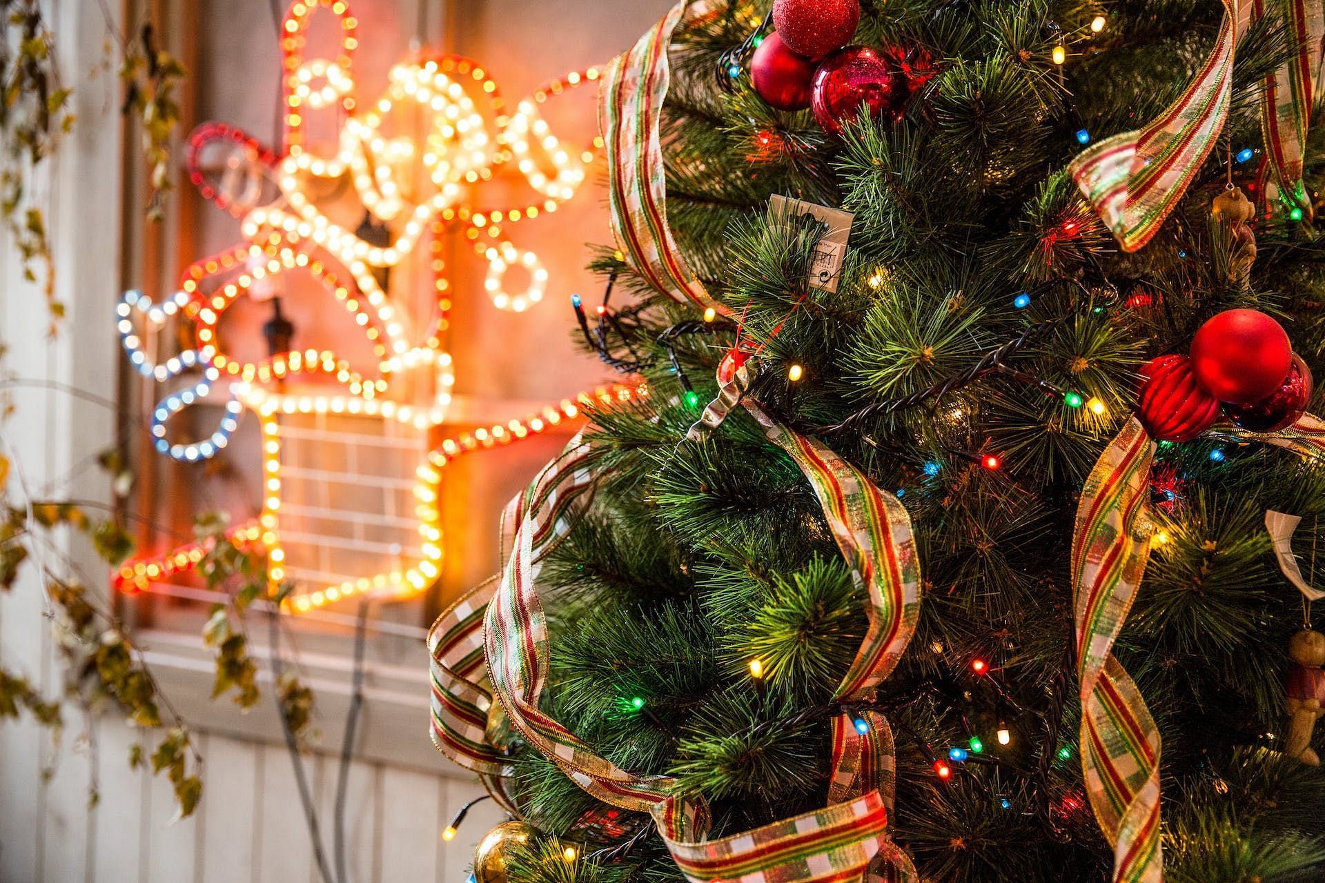 Understanding about Christmas Trees (Photo by Toni Cuenca on Pexels)